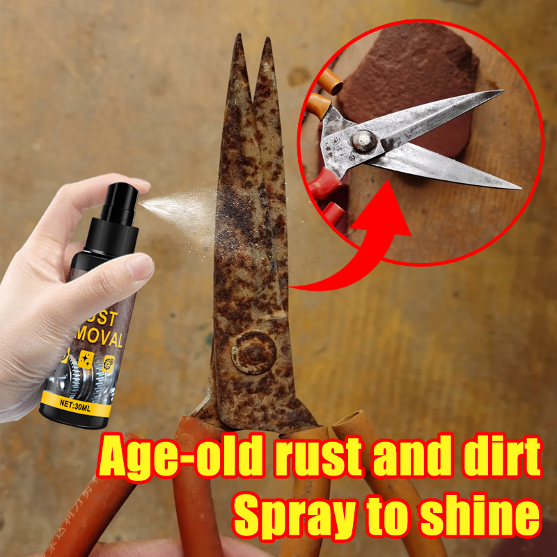 Rust Removal Spray Metal Polis - đánh giá và giá Furniture Hardware Cleaner